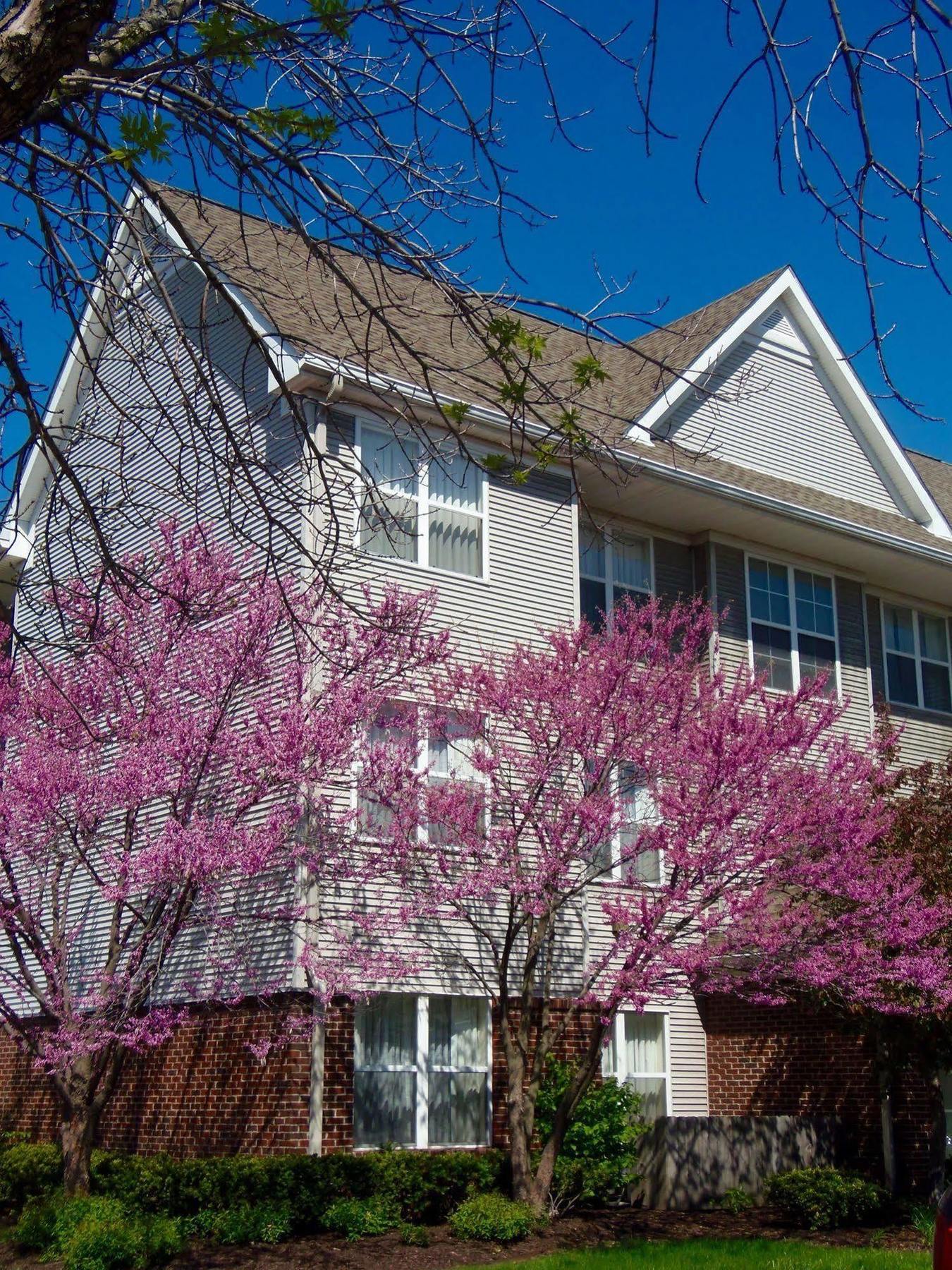 Residence Inn Indianapolis Airport Luaran gambar